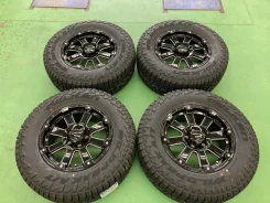 AME Pro-Potor X DD-V6