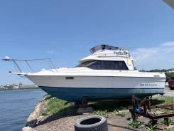 Bayliner. 1992 ���, ����� 6,8��., ��������� ������������, 250��.�., ������ ����