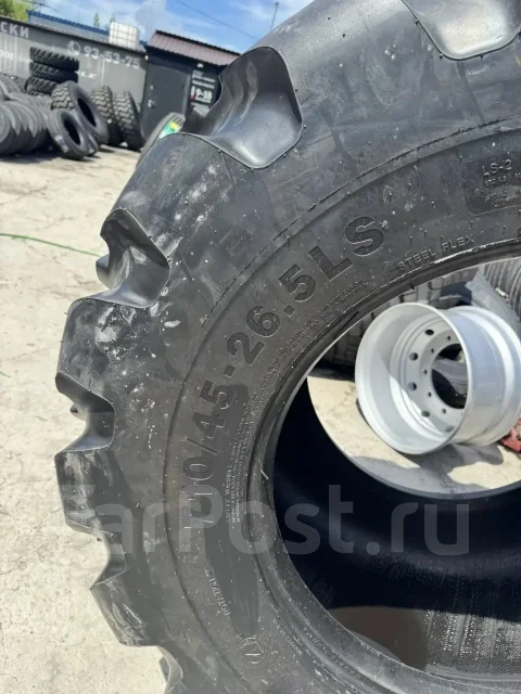 Tianli. �����������, 2025 ���, ����� ����