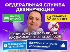 ����������� �������. ����