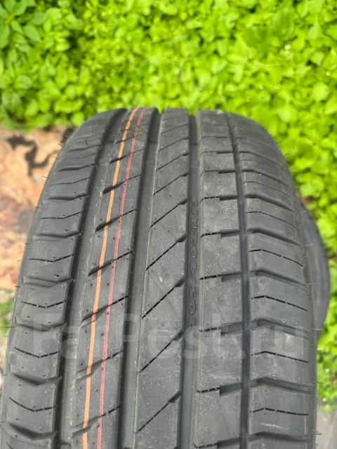 Winmax. ������, 2026 ���, ����� ����