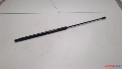 ����������� ������ ��������� Nissan Juke 2010-2019 21319164, �����/������ 904501KA1A ����