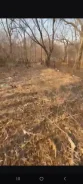 ������� ��� ���. �������, ����, ����. 10����., ���, �������������, �������������, ����. ���� ������� ����