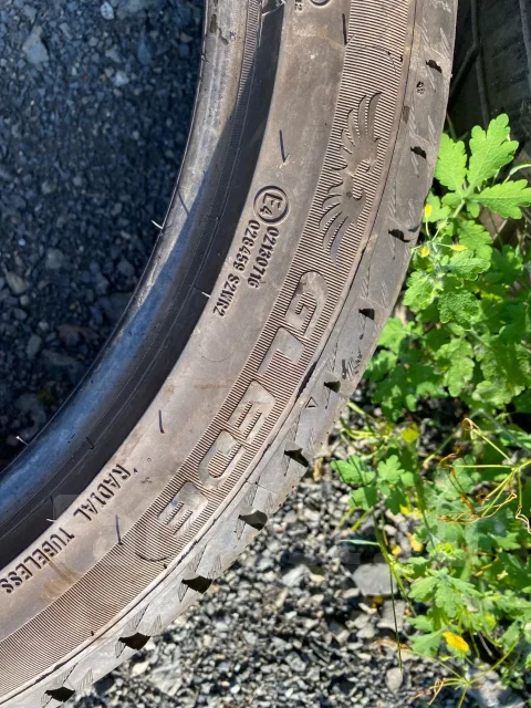 Glede Himalaya G39. ������, ��� �����, �/�, ����� 5 % ����