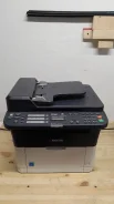 ��� ��������. ����