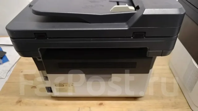 ��� ��������. ����