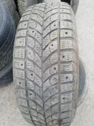 Bridgestone Winter Radial WT-17. ������, ����������, �/�, ����� 60 % ����