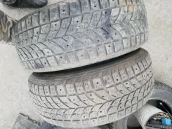 Bridgestone Winter Radial WT-17. ������, ����������, �/�, ����� 60 % ����