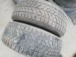 Bridgestone Winter Radial WT-17. ������, ����������, �/�, ����� 60 % ����