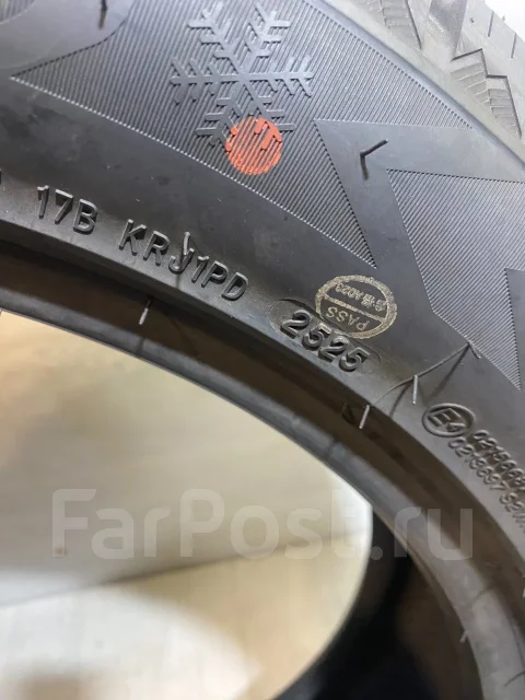 ZMax Winternova Stud II. ������, ����������, ����� ����