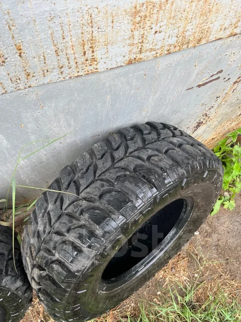 LingLong. ����� mt, 2024 ���, ����� ����