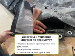 �����. ����