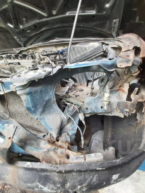 Nissan Bluebird Sylphy. QG10 ����