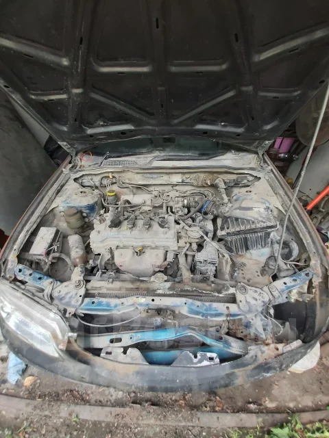 Nissan Bluebird Sylphy. QG10 ����