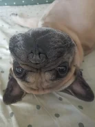 ����� �����. ����