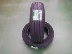 Dunlop Enasave EC205