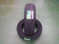 Dunlop Enasave EC205