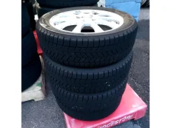 Bridgestone Blizzak WZ-1