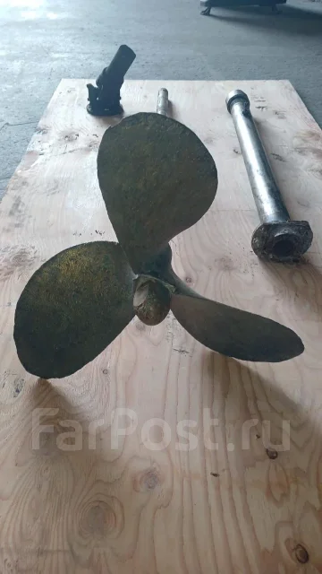 ����� �������. ����