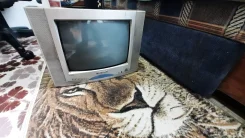 EVGO. CRT (���) ����