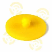 ��������� �������������� ���������������, ��������� ����� ����� 004020 004020 ����