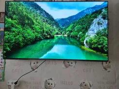 Haier 65 OLED S9 ����