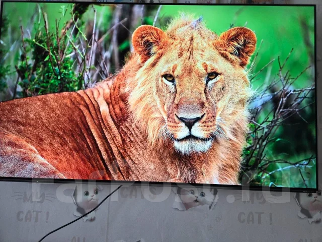 Haier 65 OLED S9 ����