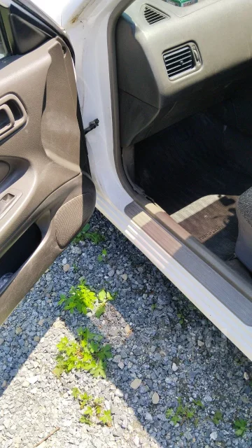 Nissan Expert ����