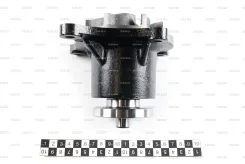 ����� ������� Zevs WP2541 WP2541 ����