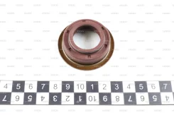 ������� ��� Zevs SH2131 SH2131 ����