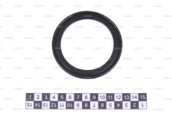 ��������� ���������� FSK, ������ P307G P307G ����