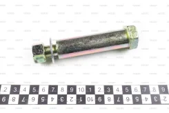 ���� ��������� ������������� Zevs BLT-8224 BLT8224 ����