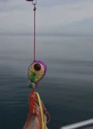 �����������. ������� �����. ������� �� ������� �� ������������ ����