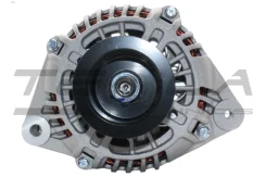 ��������� �������� �����, ��������� ����� ����� ������� (TT11243) Tesla Technics TT11243 TT11243 ����