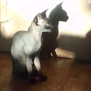 ������. ����