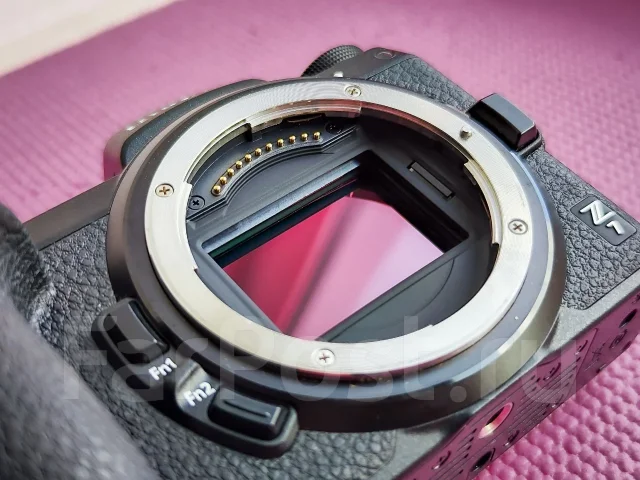 Nikon Z7. 20 � ����� ��, ���: ��� ���� ����