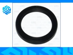 ������� ��������� Ajusa 15015300 15015300 ����