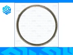 ��������� ��������� ����� Ajusa 19003800 19003800 ����