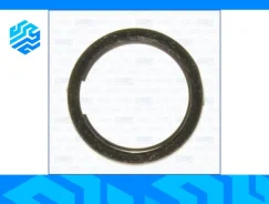 ��������� ��������� ����� Ajusa 19004500 19004500 ����