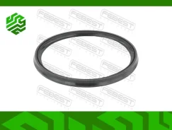 ������ �������������� ���������� �������� Febest 16400020 16400020 ����