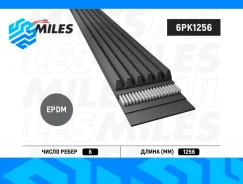 ��������� ������ Miles 6PK1256 6PK1256 ����