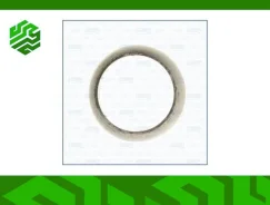 ��������� ������� ������� Ajusa 01072900 01072900 ����