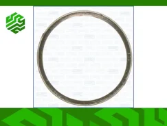 ��������� ��������� ����� Ajusa 19003800 19003800 ����
