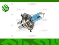 ����� Carberry 31CA7PL 31CA7PL ����