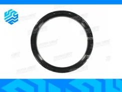 ������� ����������� ���� Reinz 813405700 (��������) 813405700 ����