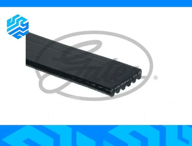 ������ ������������ Gates 6PK1560 6PK1560 ����
