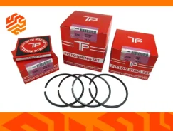 ������ ��������� +0.50 TPR 35890050 35890050 ����