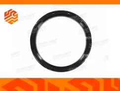 ������� ����������� ���� Reinz 813405700 (��������) 813405700 ����