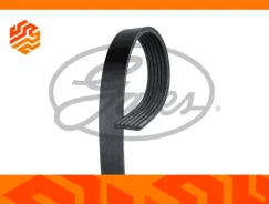������ ������������ Gates 6PK1560 6PK1560 ����