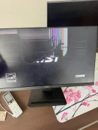 MSI. 24", ���������� �� (LCD, LED, QLED) ����